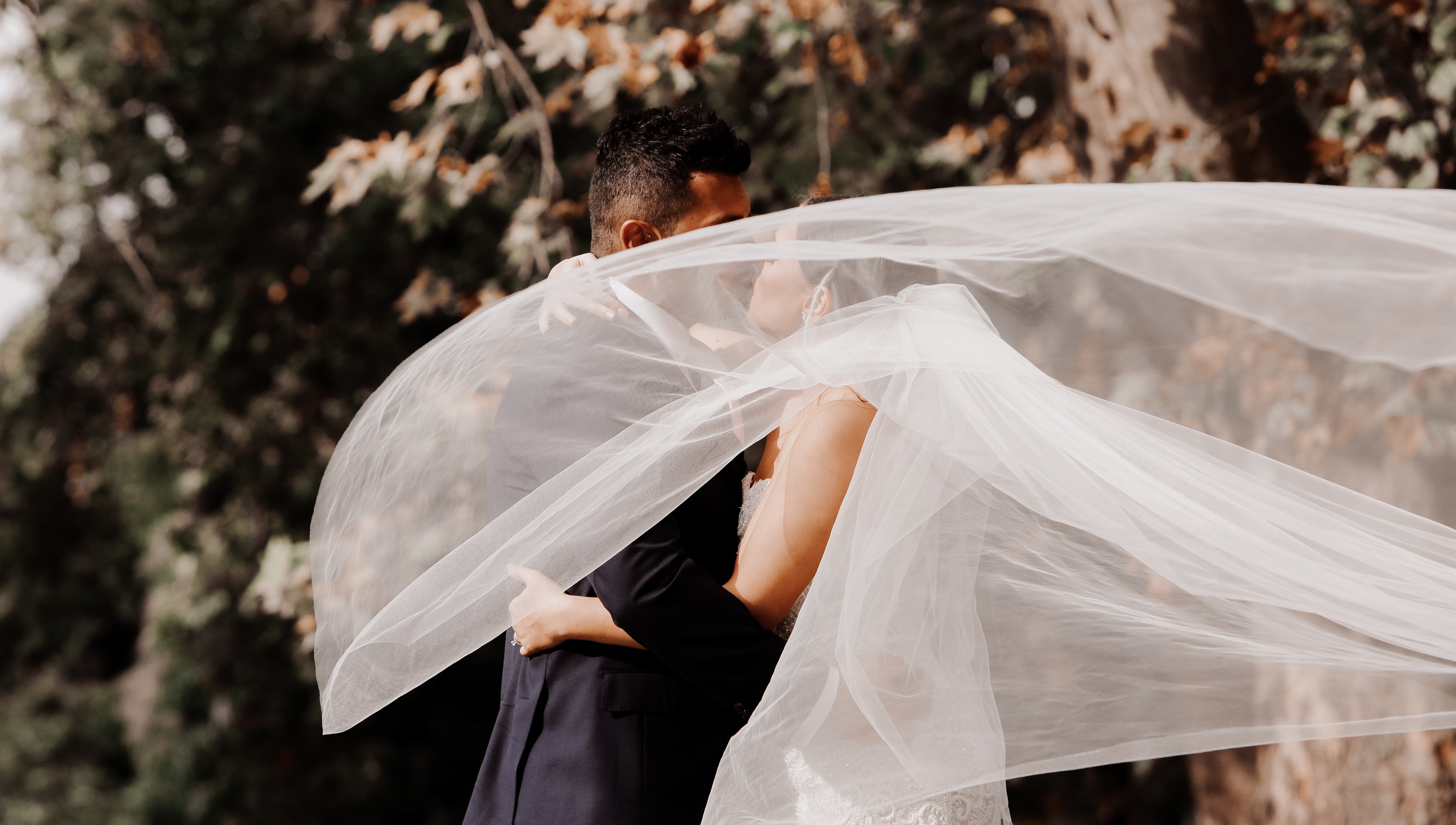 Dramatic and romantic outdoor wedding portrait of a bride and groom embracing, their faces partially obscured by a long flowing veil blown dynamically by the wind. Natural light photography style typical of scenic Yarra Valley or Mornington Peninsula weddings